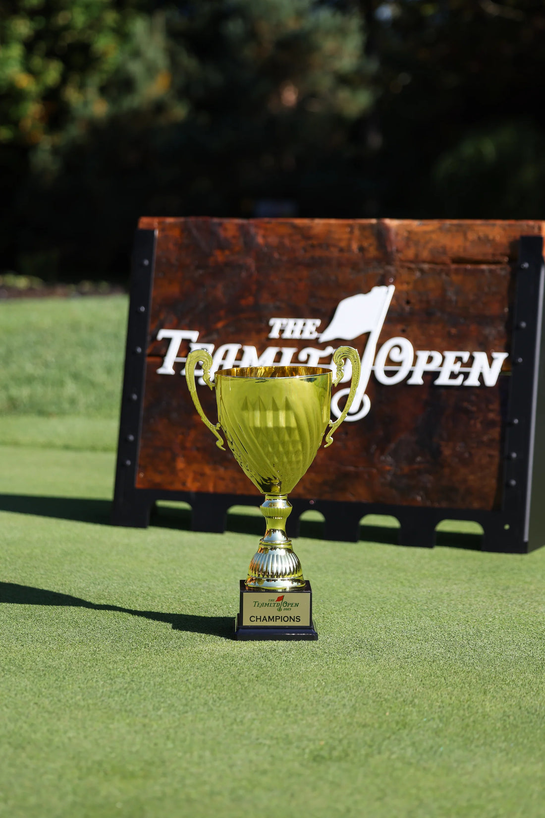 2025 TEAMLTD OPEN - Team Fee
