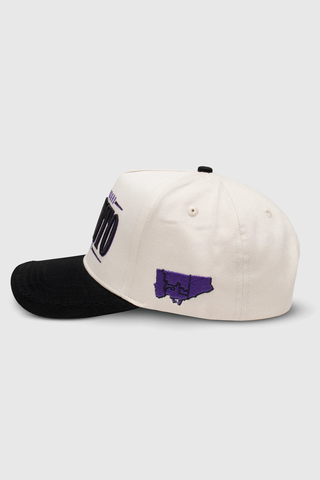 Toronto Snapback