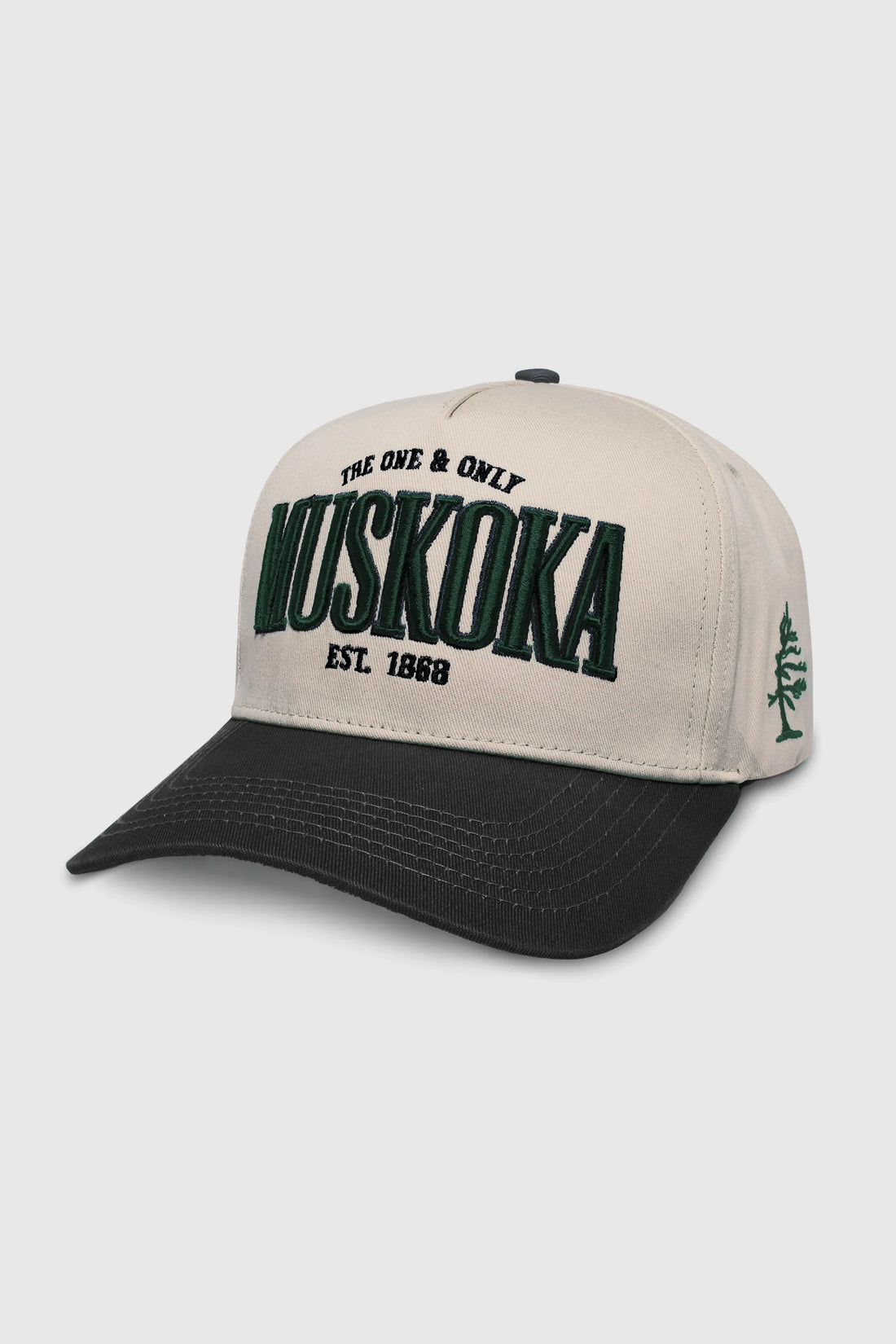 Muskoka Snapback