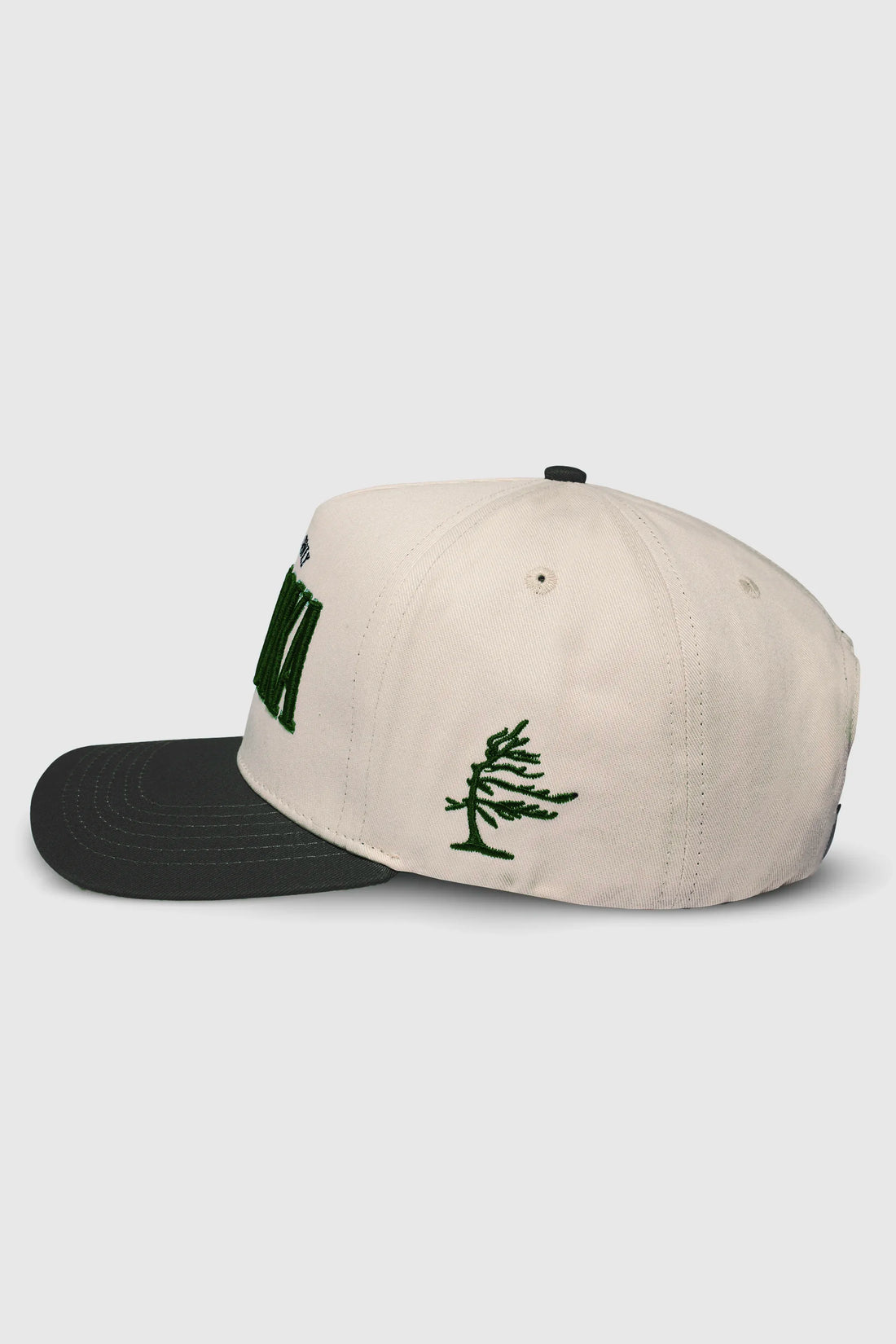 Muskoka Snapback
