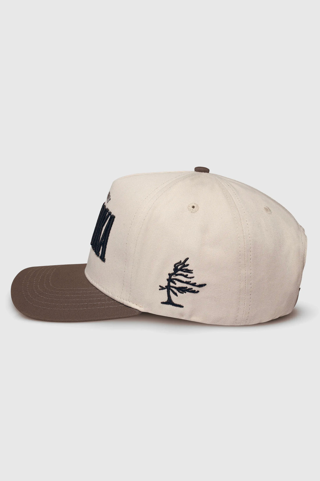 Muskoka Snapback