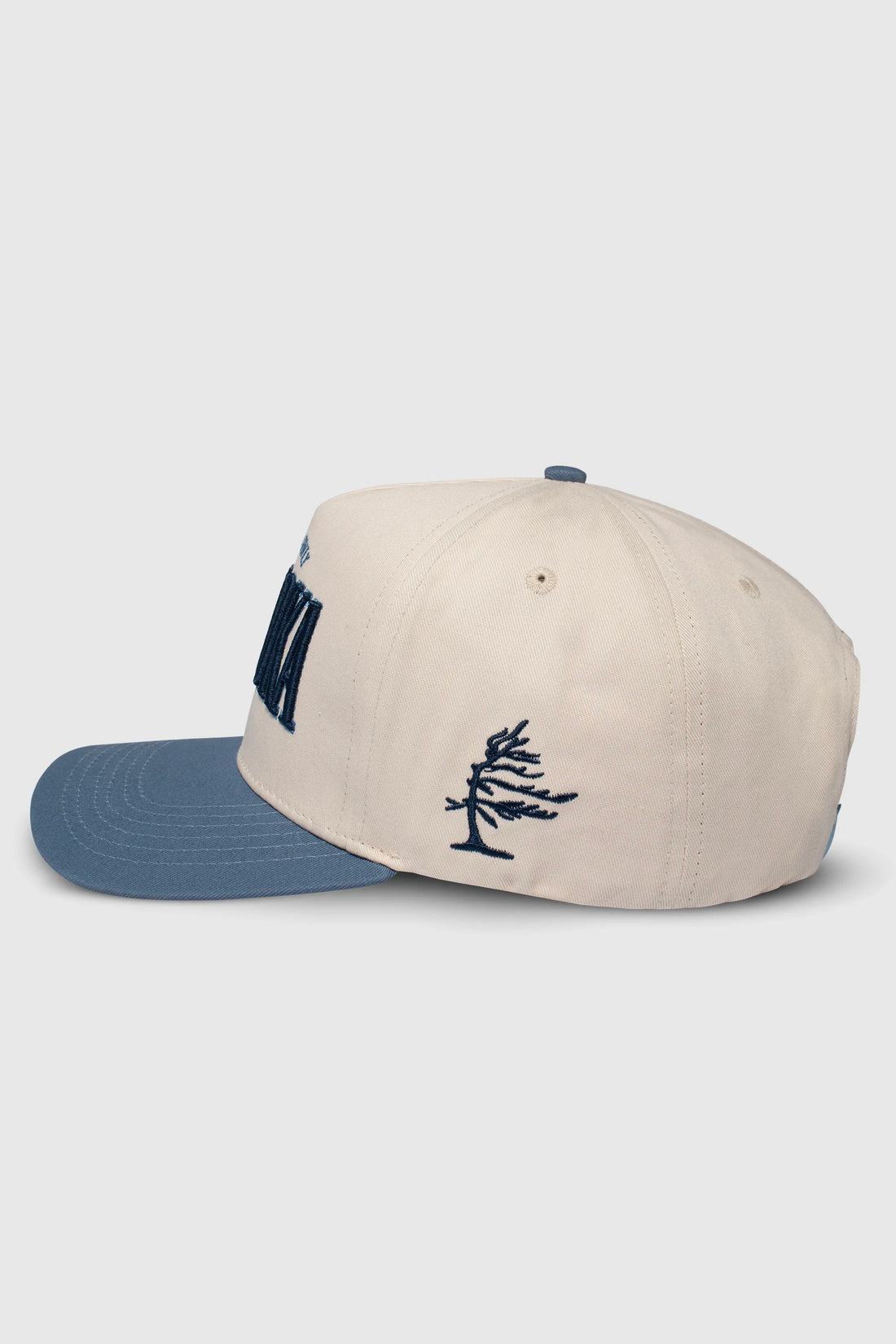 Muskoka Snapback