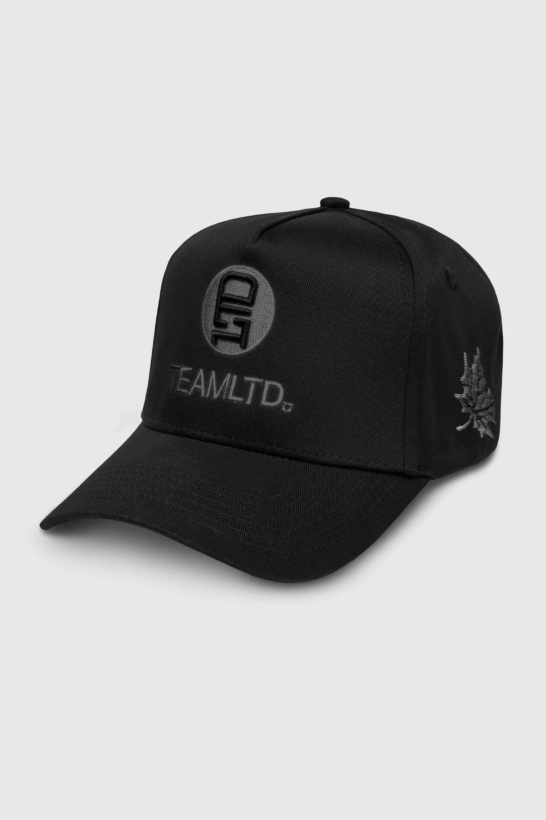 Blackout Logo Snapback