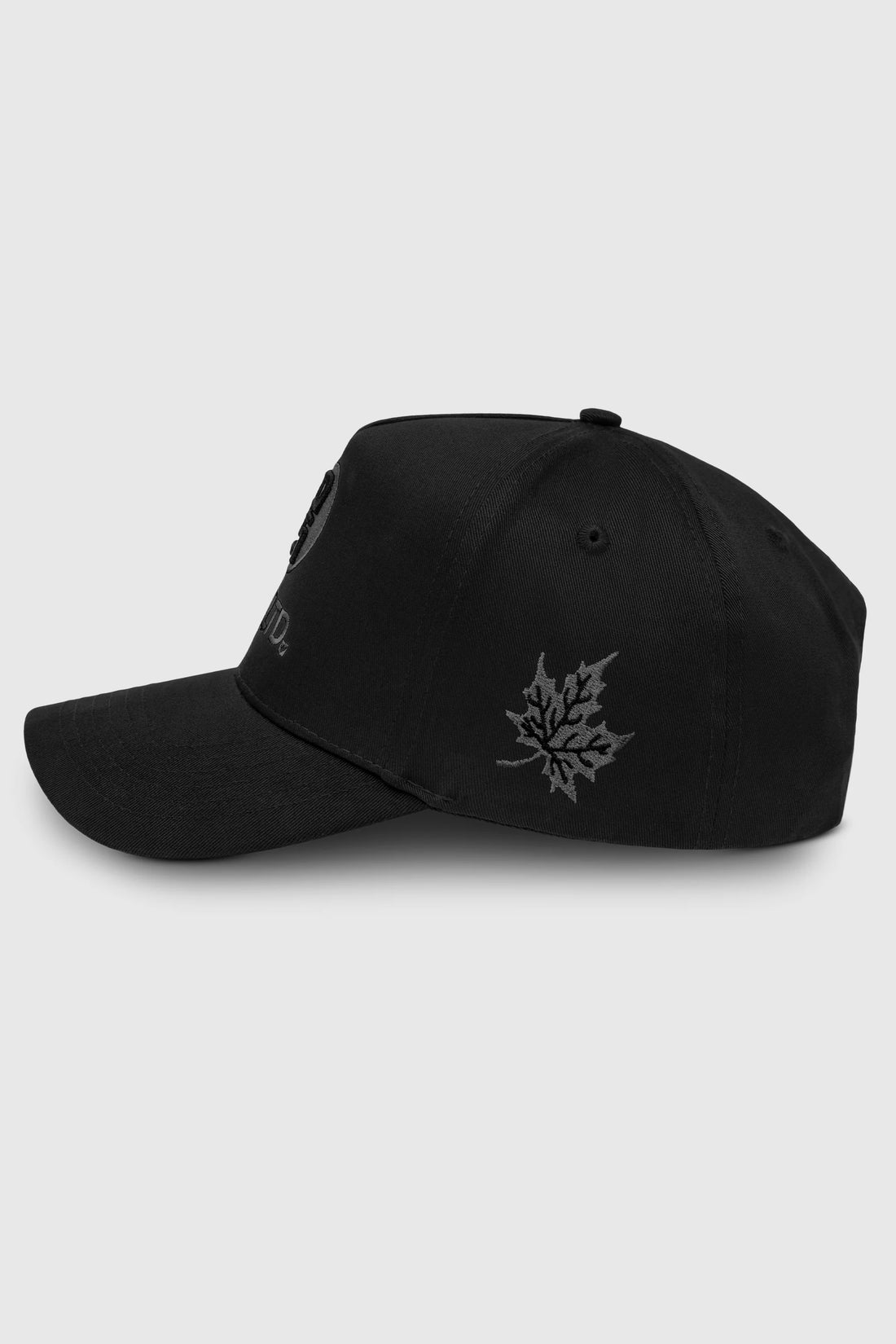 Blackout Logo Snapback