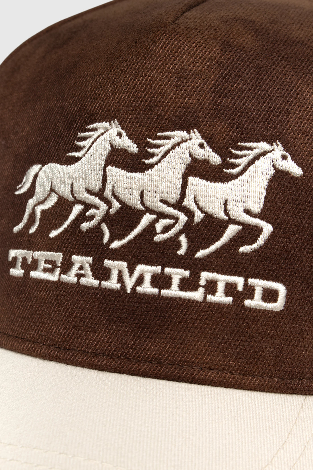 Ranch Snapback