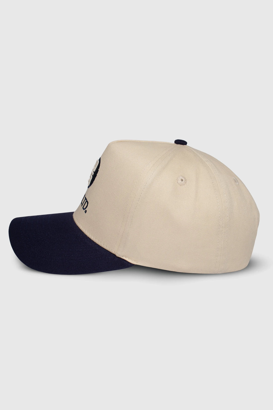 Curved Logo Snapback