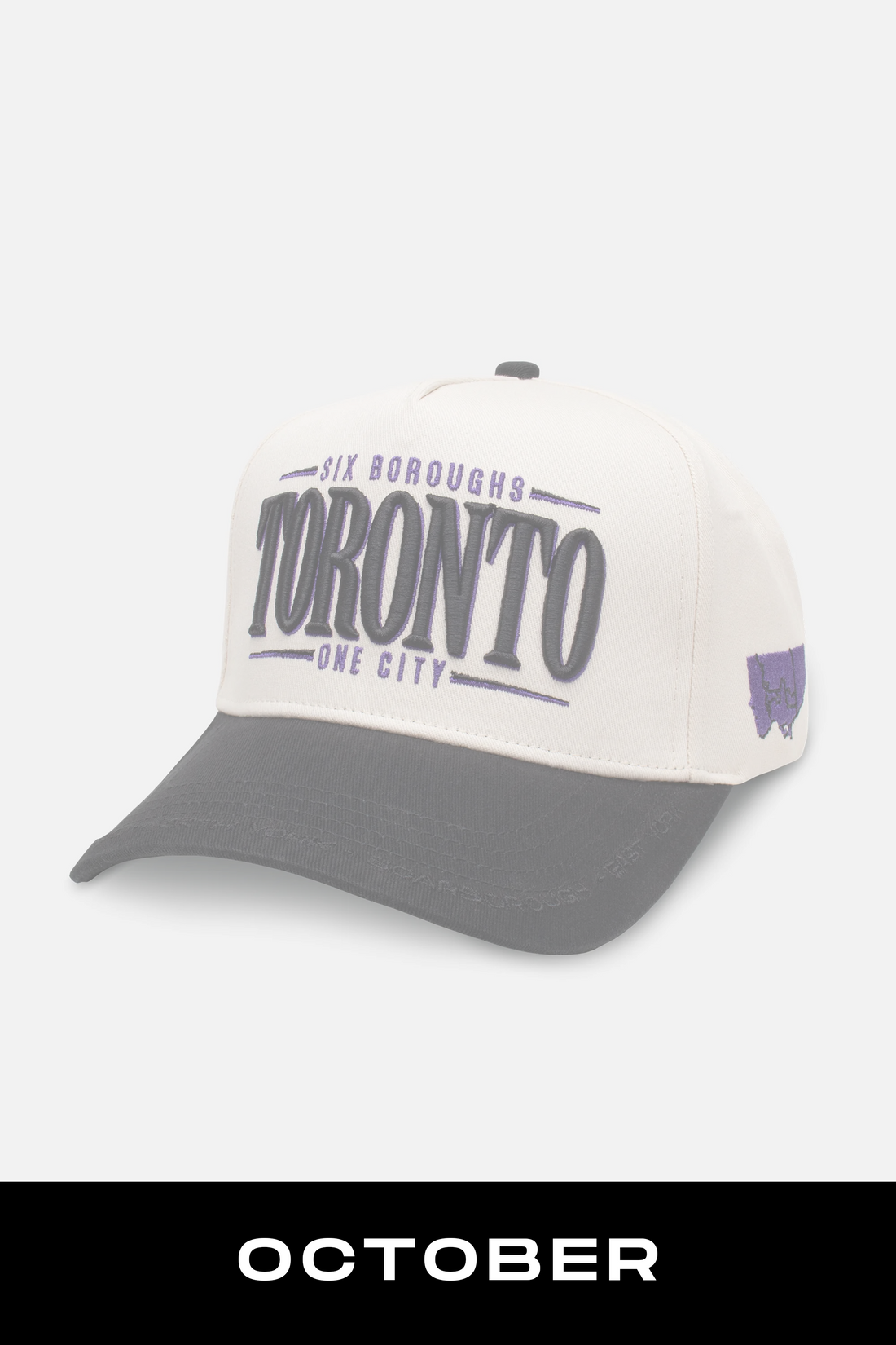 Toronto Snapback