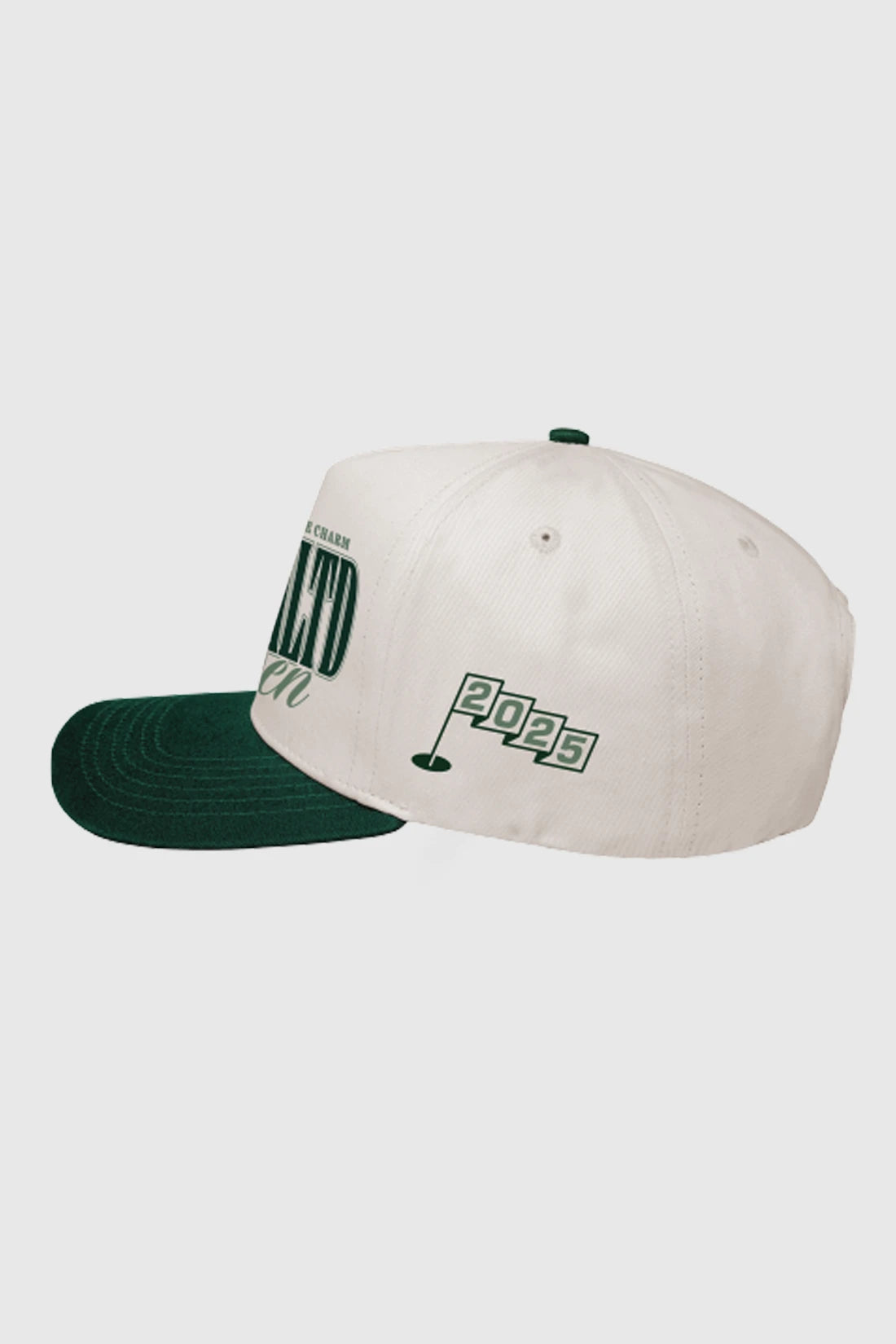 TEAMLTD Open Snapback