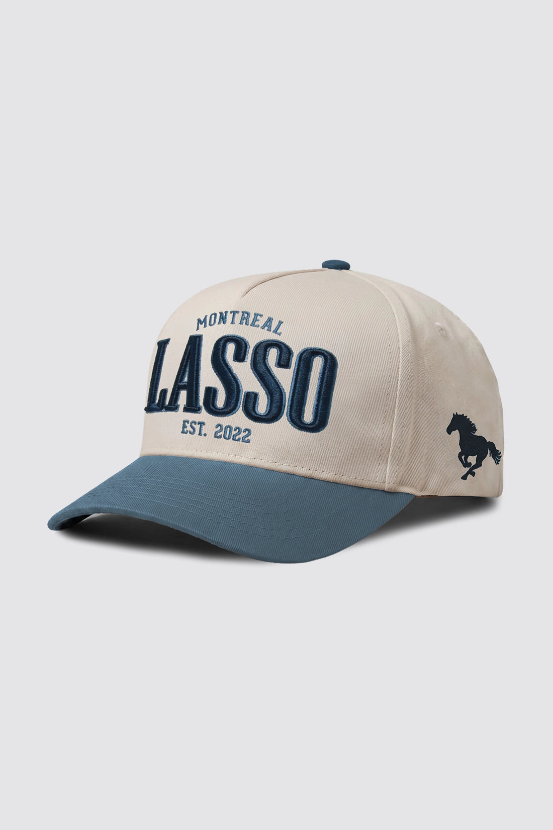 Lasso x TEAMLTD Snapback
